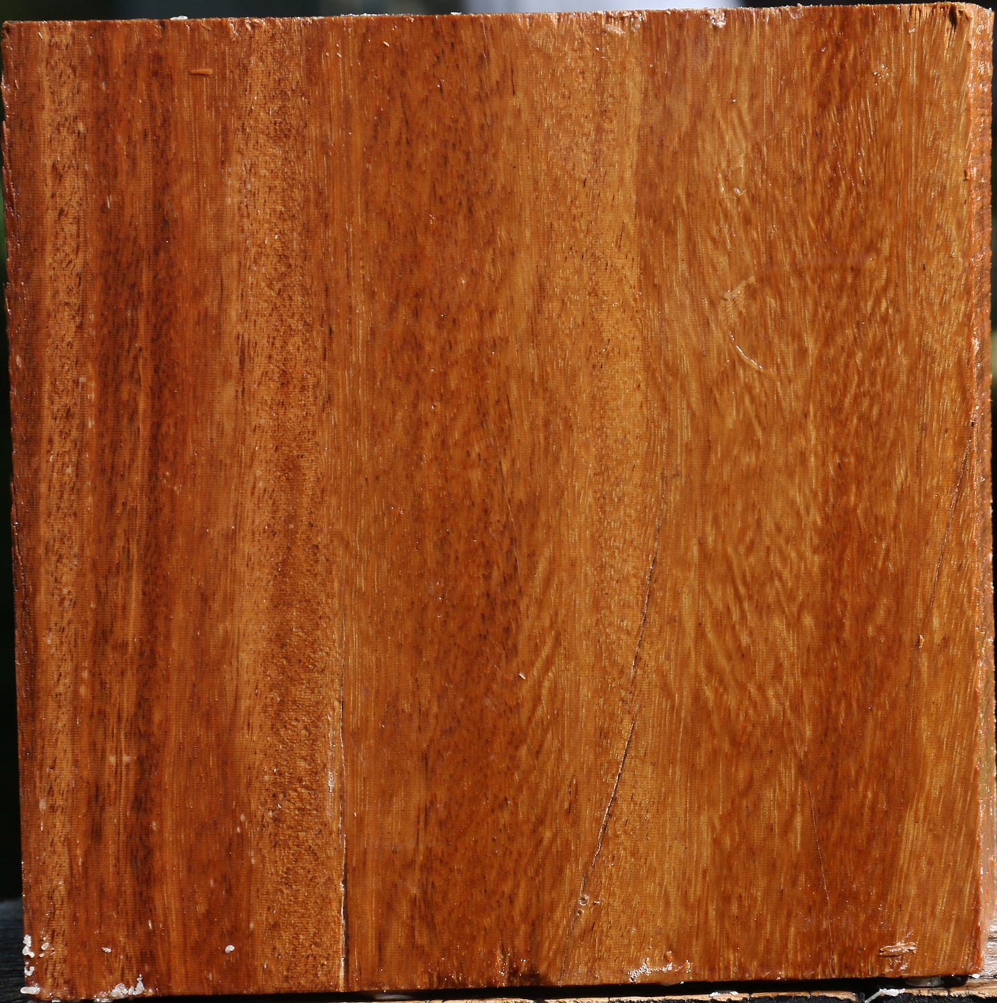 Red Cumaru Bowl Blank