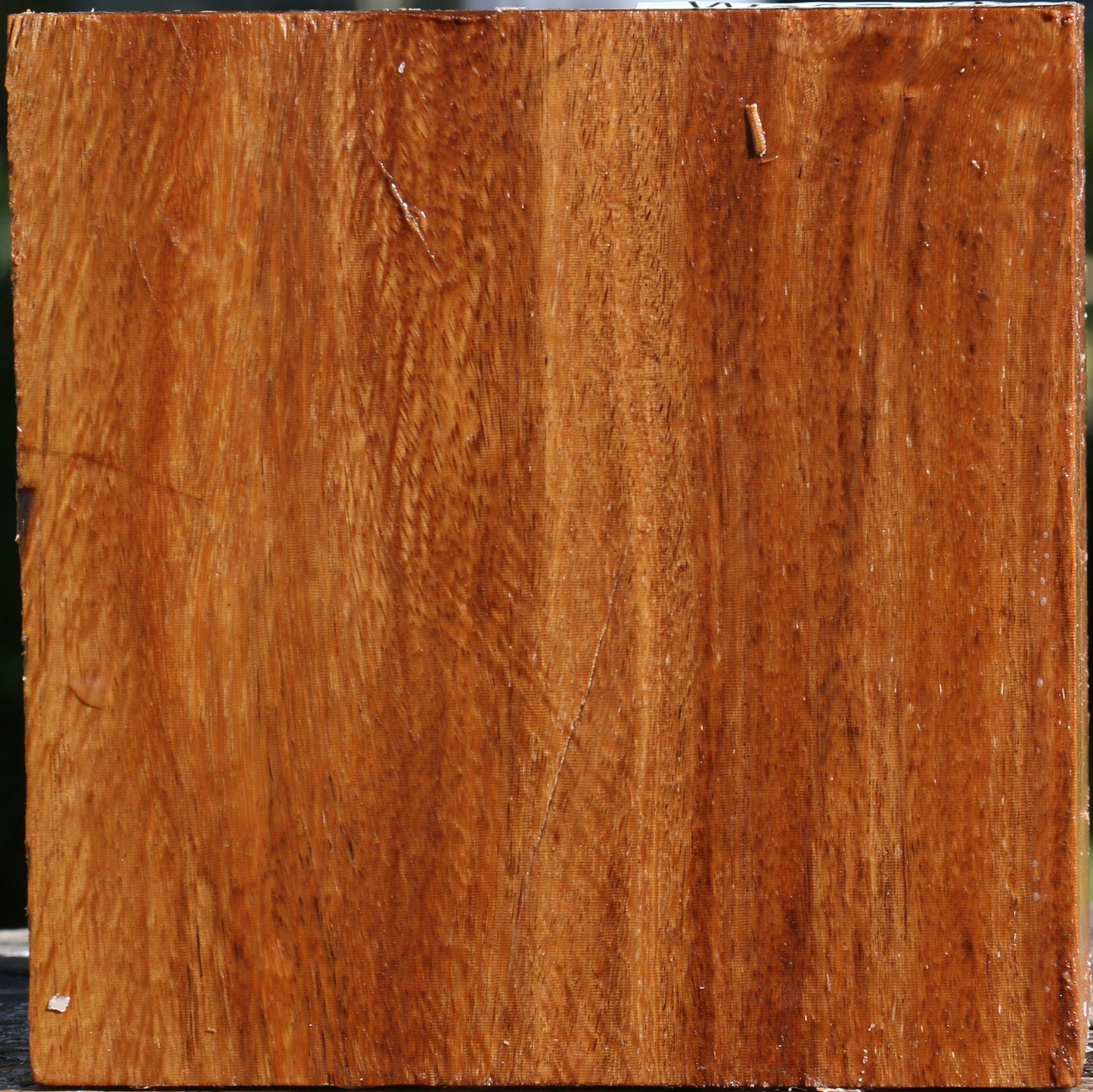 Red Cumaru Bowl Blank