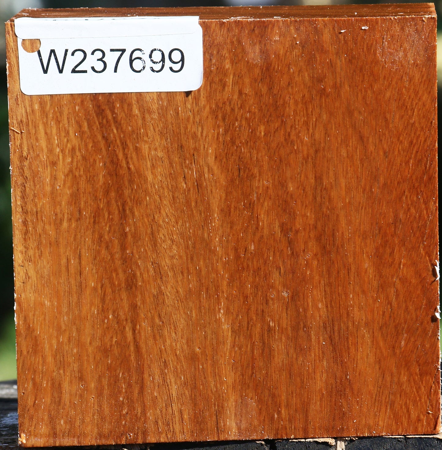 Red Cumaru Bowl Blank