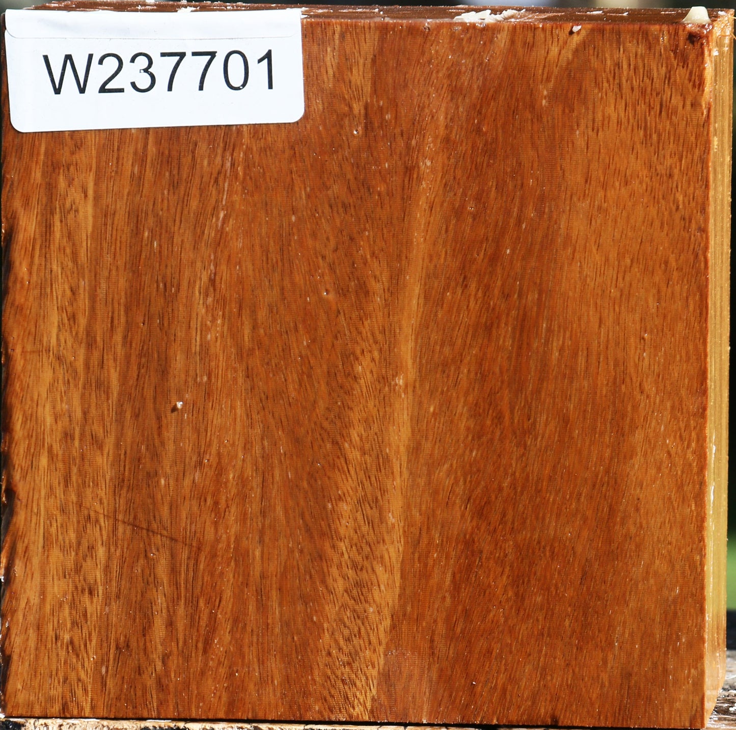 Red Cumaru Bowl Blank