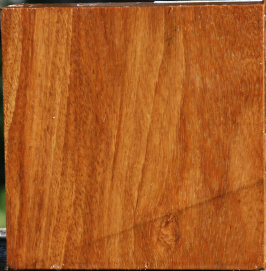 Red Cumaru Bowl Blank