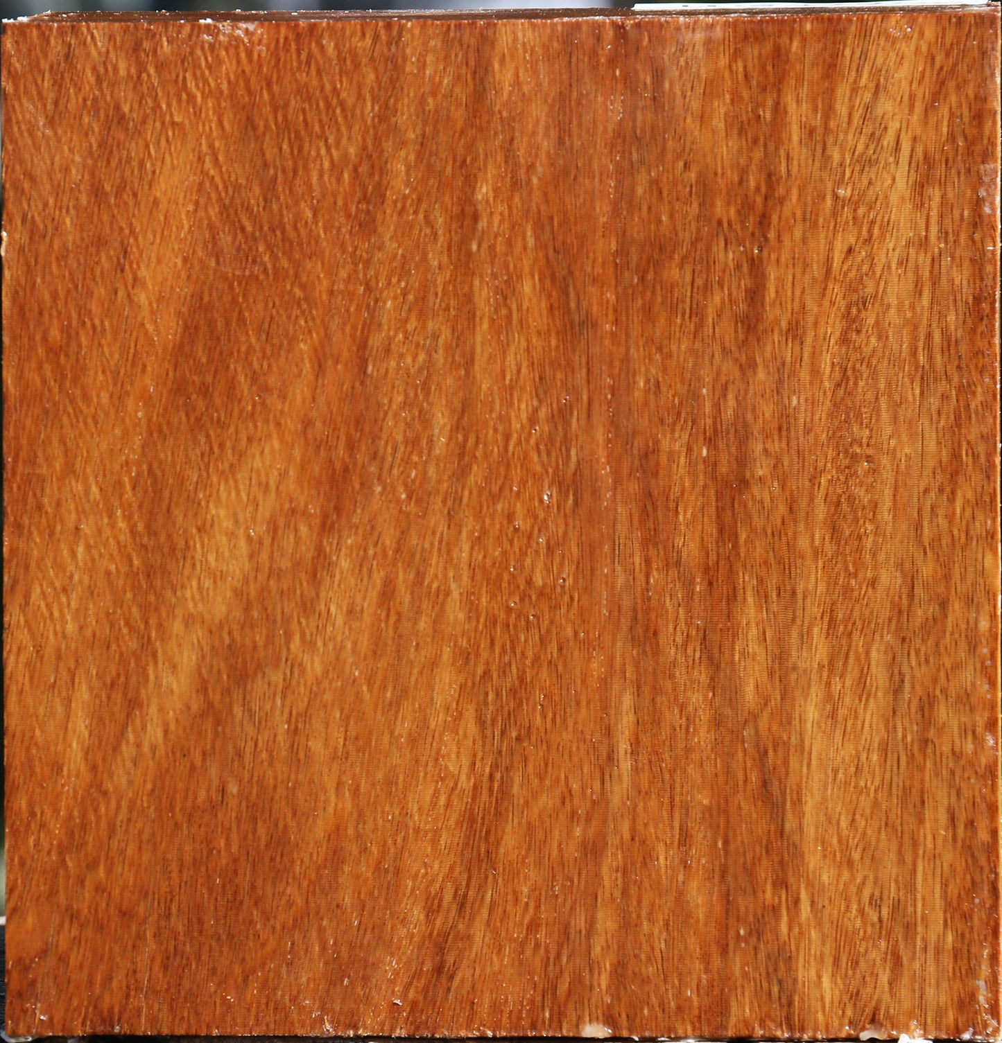 Red Cumaru Bowl Blank