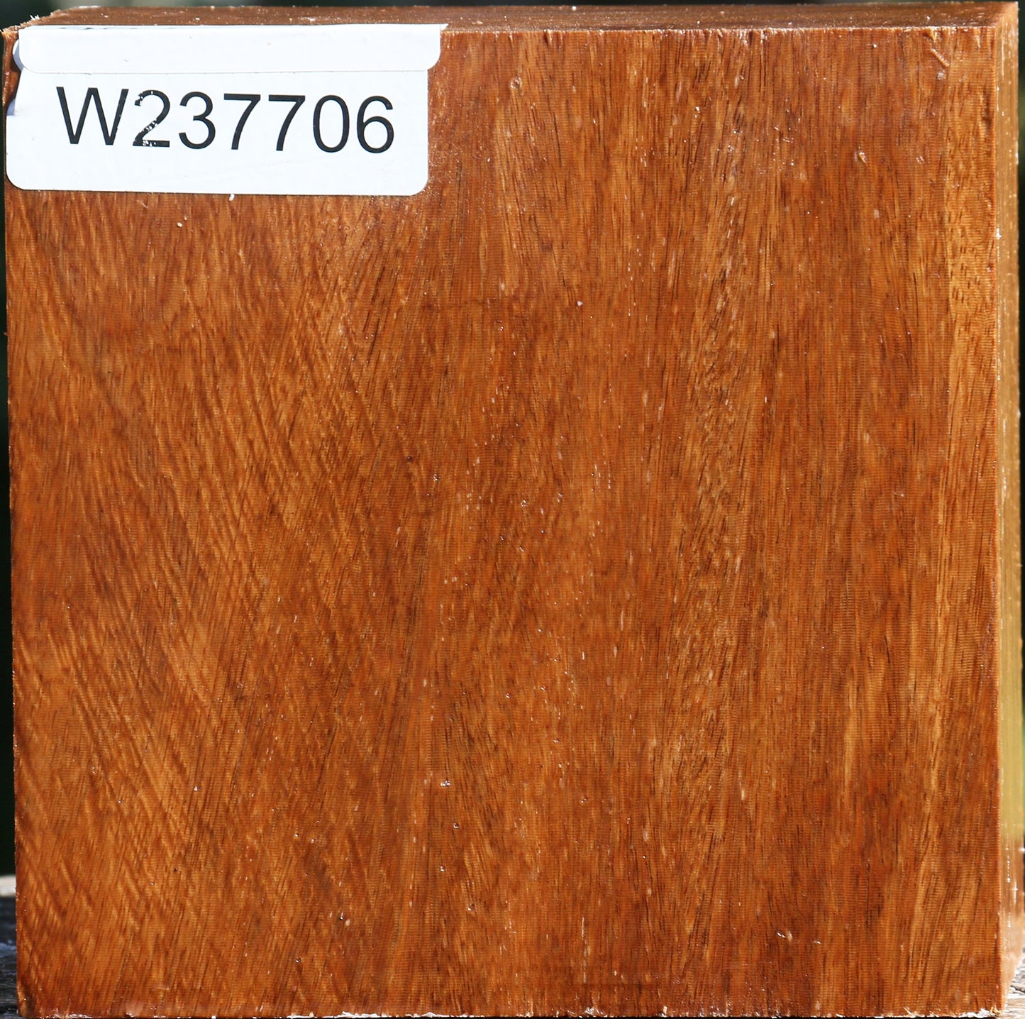 Red Cumaru Bowl Blank