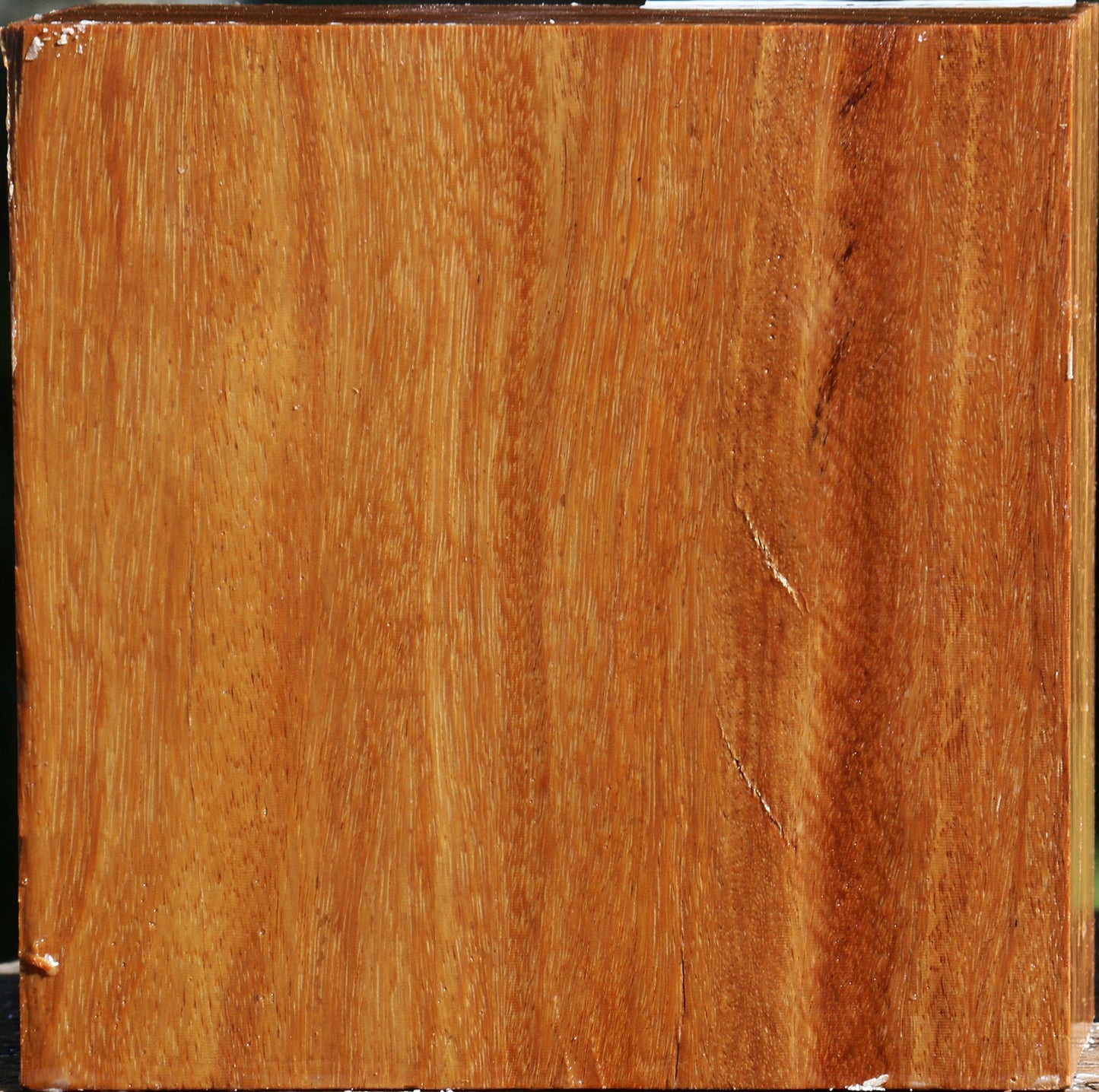 Red Cumaru Bowl Blank