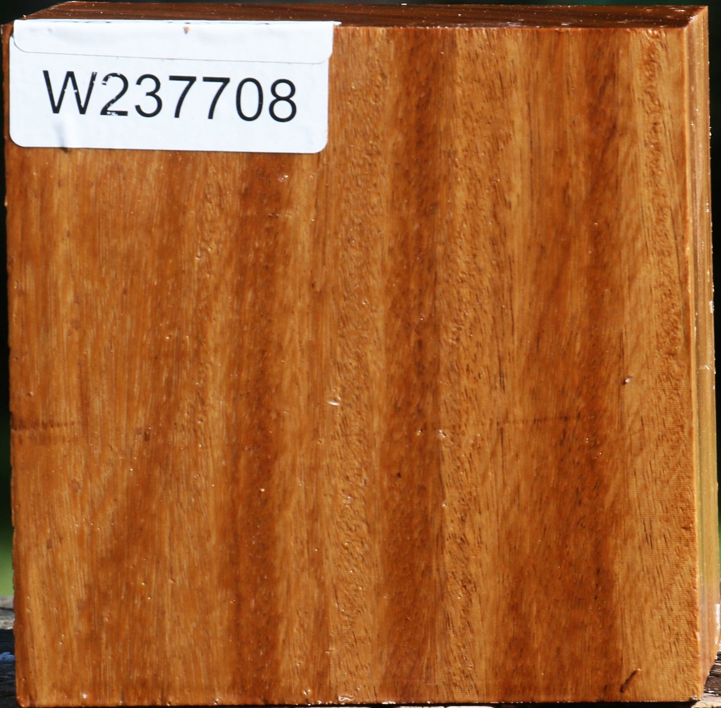 Red Cumaru Bowl Blank