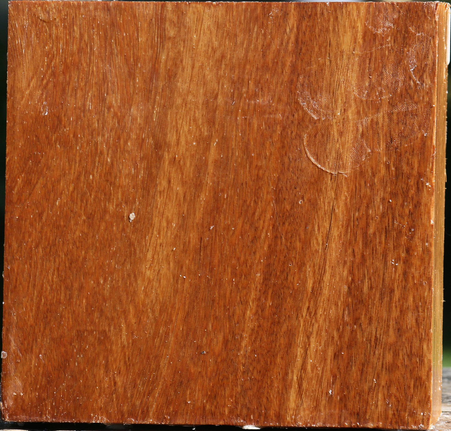 Red Cumaru Bowl Blank