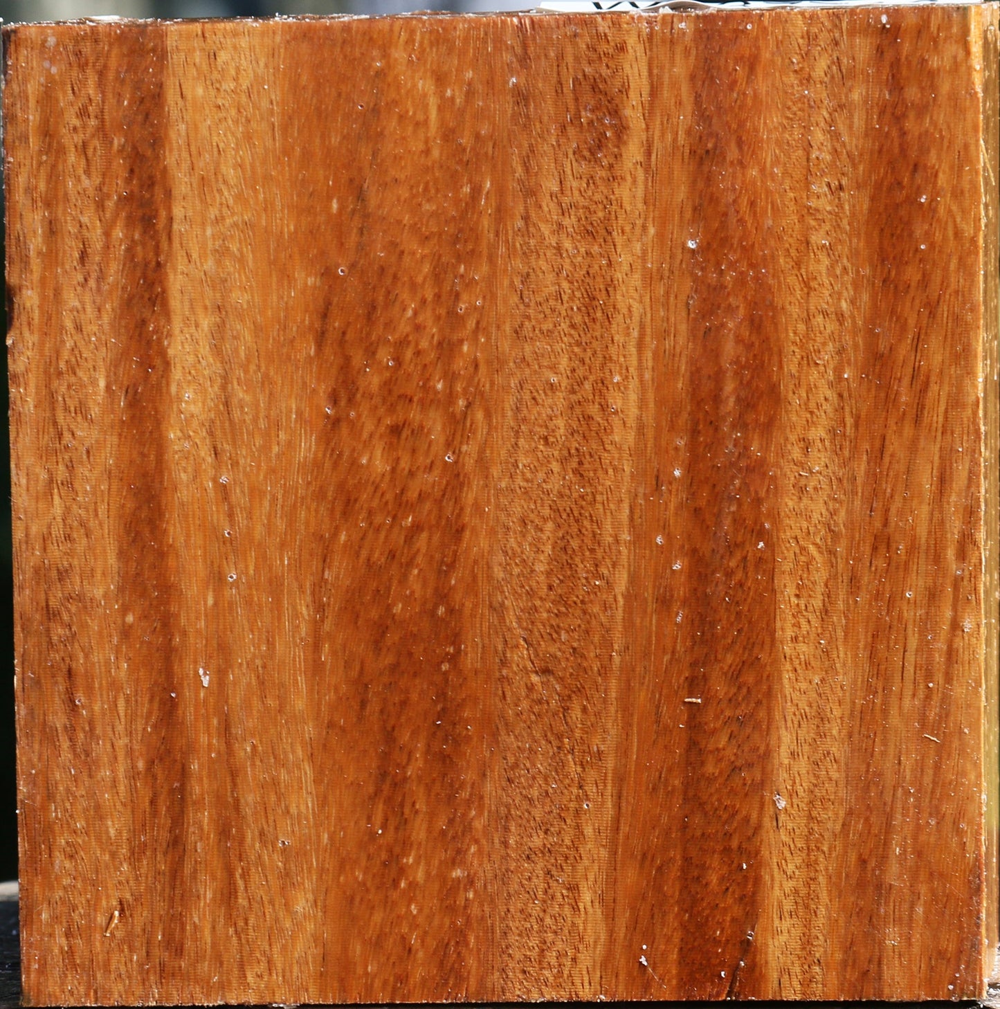 Red Cumaru Bowl Blank