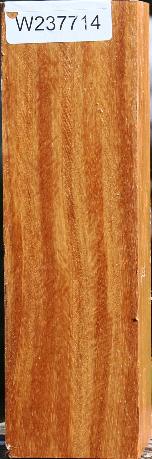 Red Cumaru Peppermill