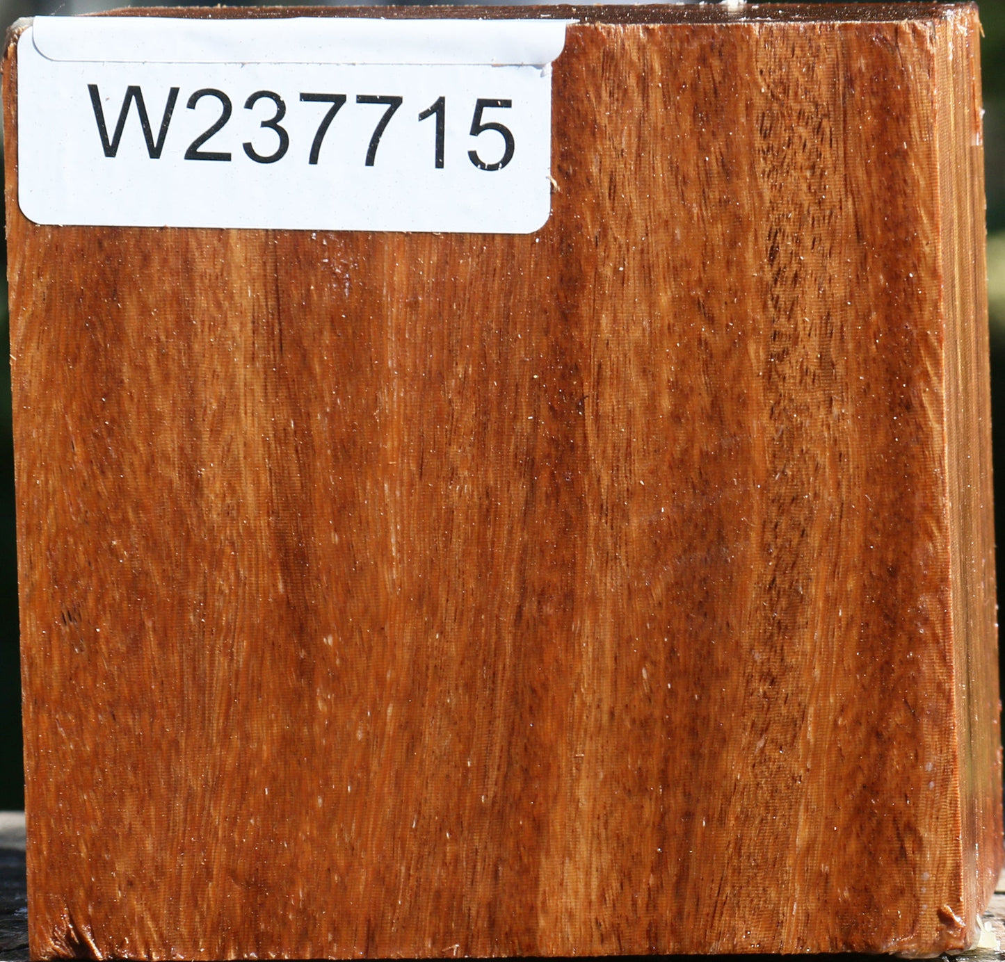 Red Cumaru Bowl Blank