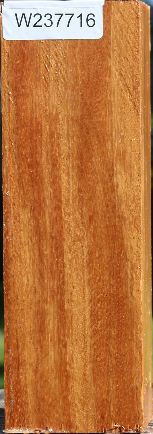 Red Cumaru Peppermill