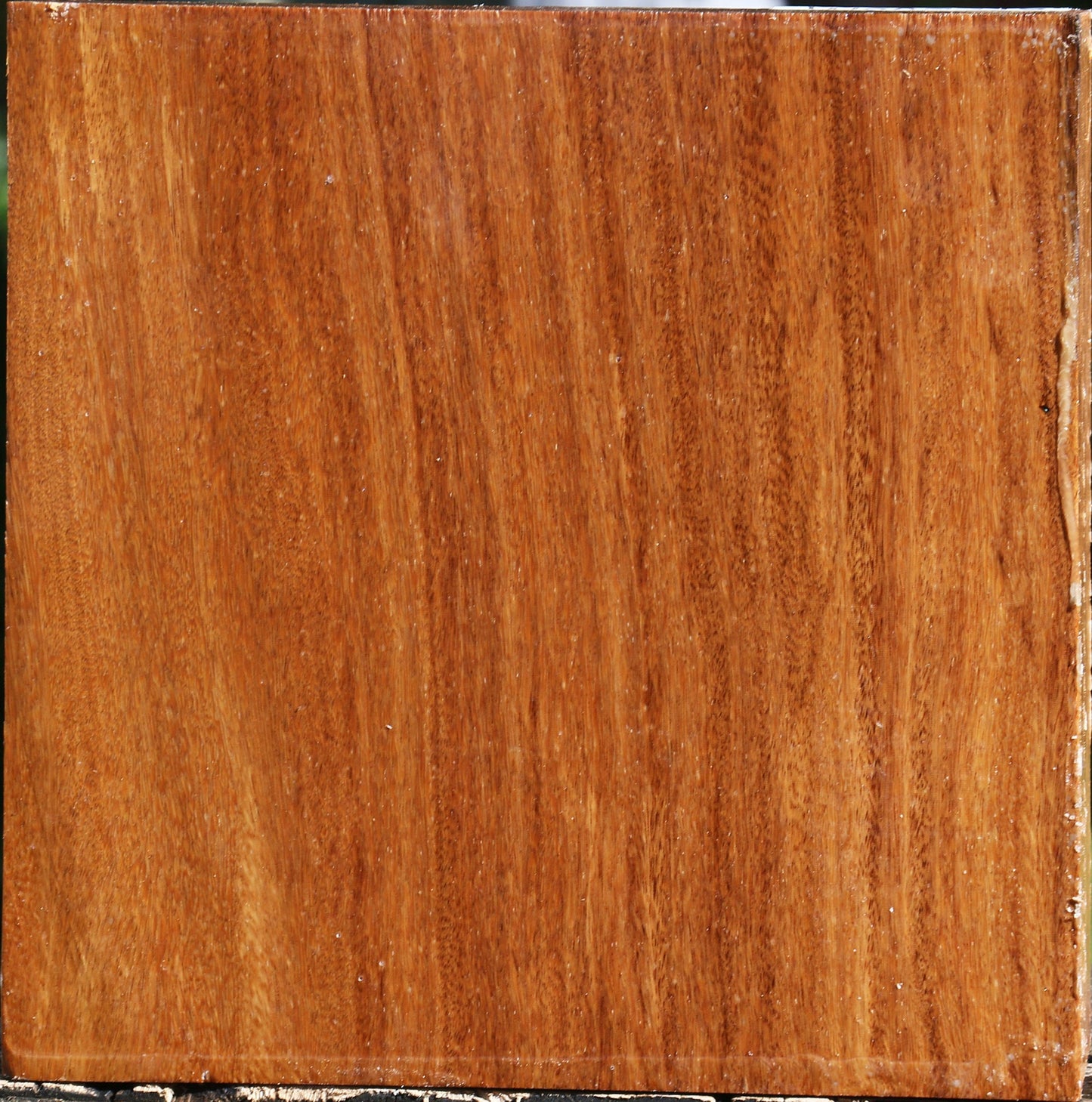 Red Cumaru Bowl Blank