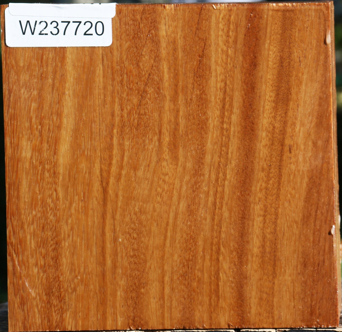 Red Cumaru Bowl Blank