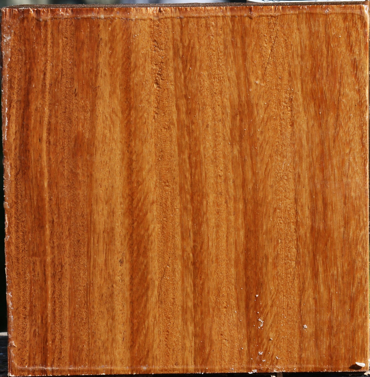 Red Cumaru Bowl Blank