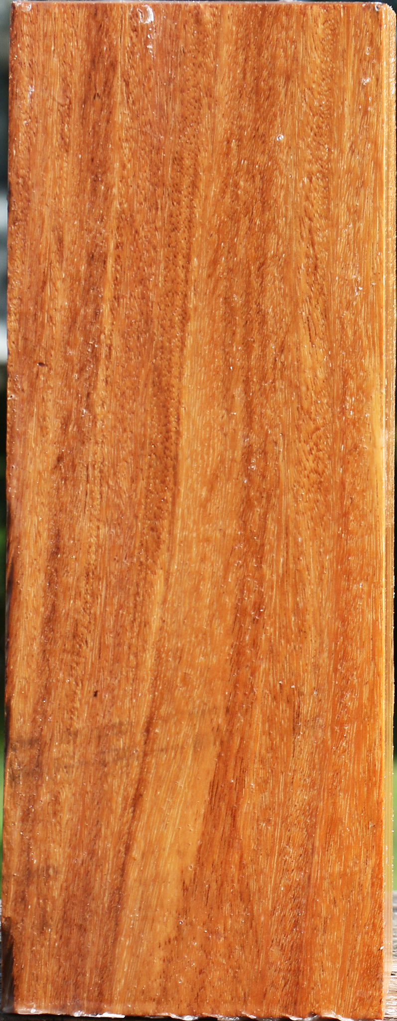 Red Cumaru Peppermill