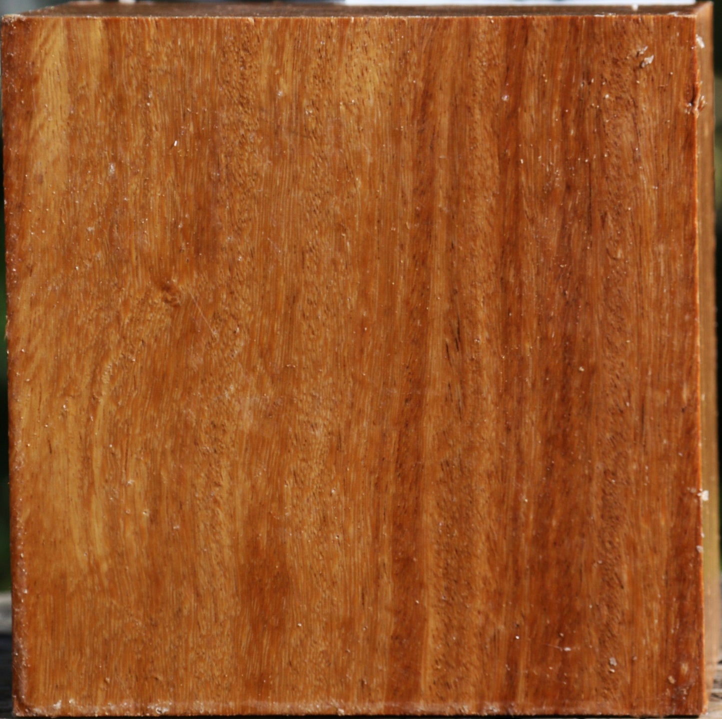 Red Cumaru Bowl Blank