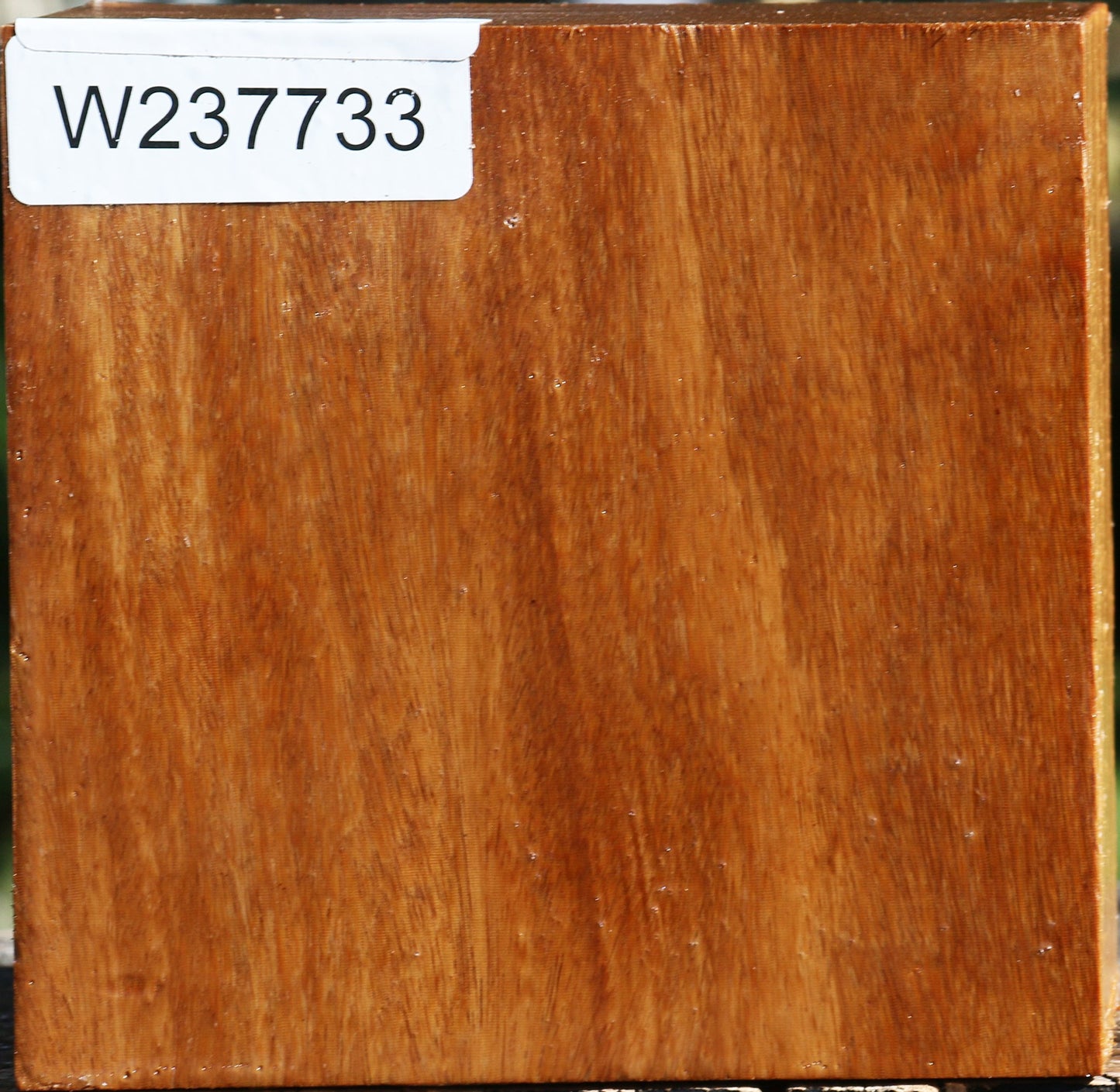 Red Cumaru Bowl Blank