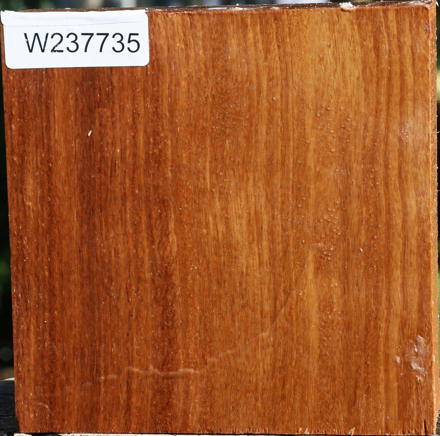 Red Cumaru Bowl Blank