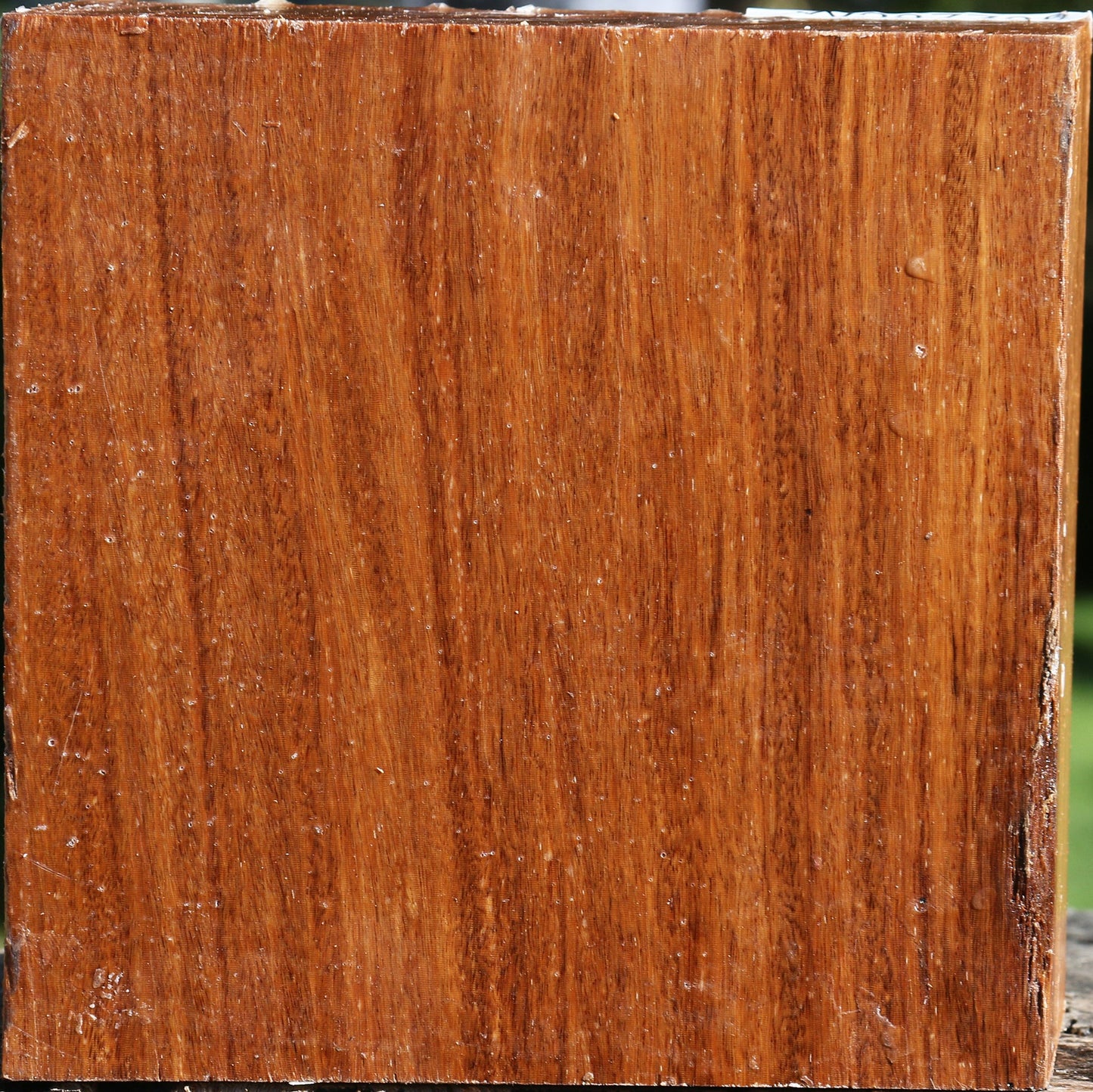 Red Cumaru Bowl Blank