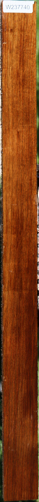 Tasmanian Blackwood Lumber