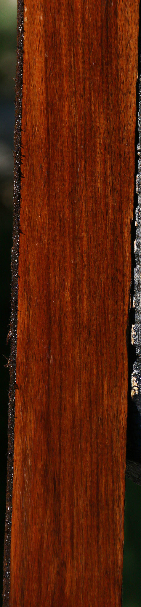 Tasmanian Blackwood Lumber