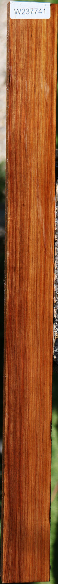 Tasmanian Blackwood Lumber