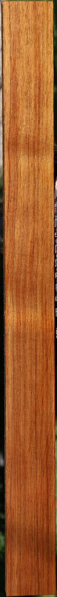 Tasmanian Blackwood Lumber