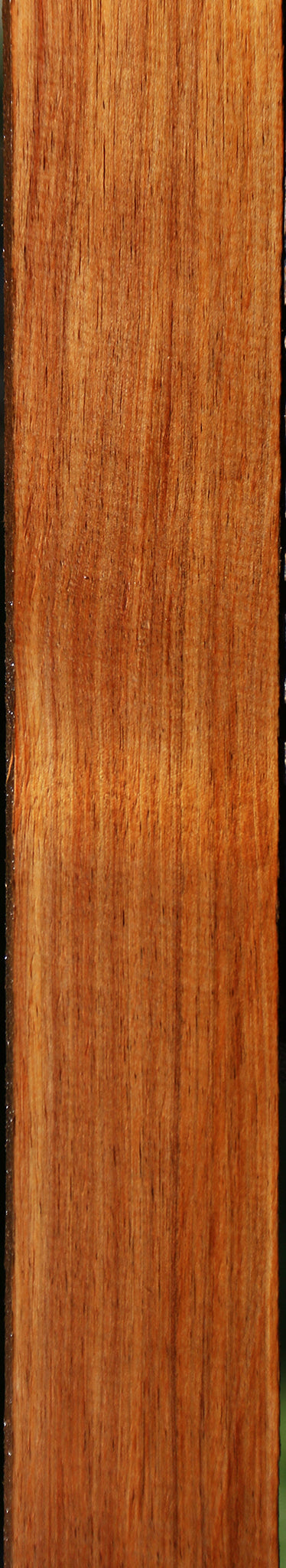 Tasmanian Blackwood Lumber