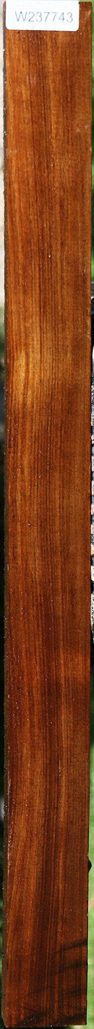 Tasmanian Blackwood Lumber