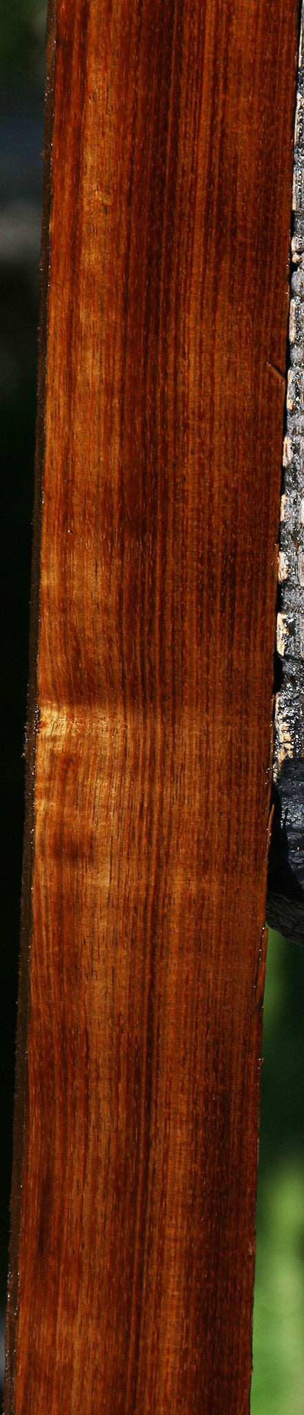 Tasmanian Blackwood Lumber