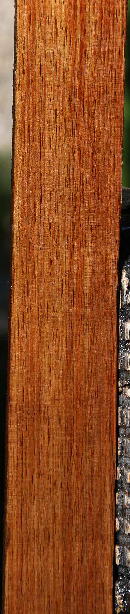 Tasmanian Blackwood Lumber