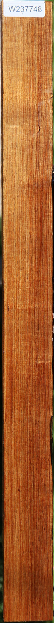 Tasmanian Blackwood Lumber