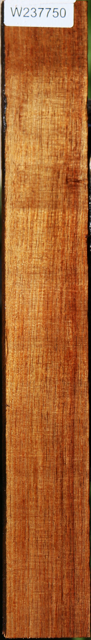 Figured Tasmanian Blackwood Lumber