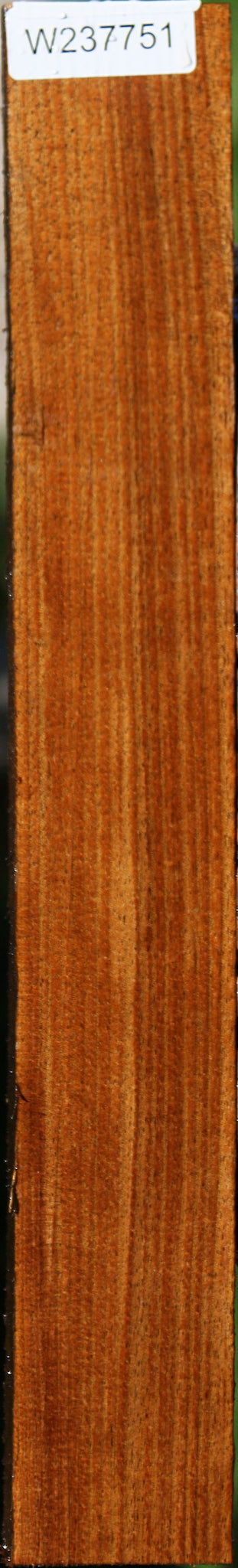 Tasmanian Blackwood Lumber