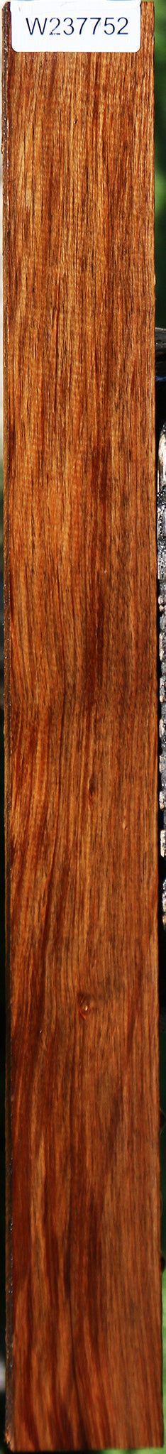 Tasmanian Blackwood Lumber