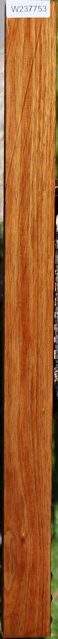 Tasmanian Blackwood Lumber
