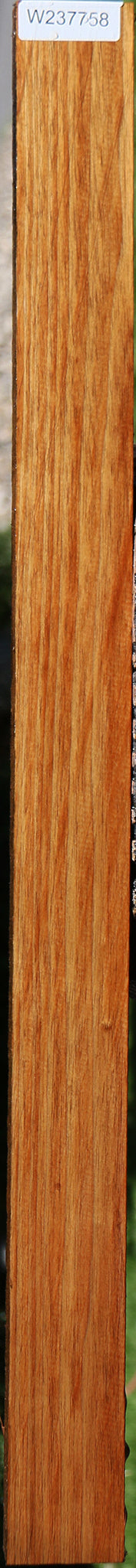 Tasmanian Blackwood Lumber