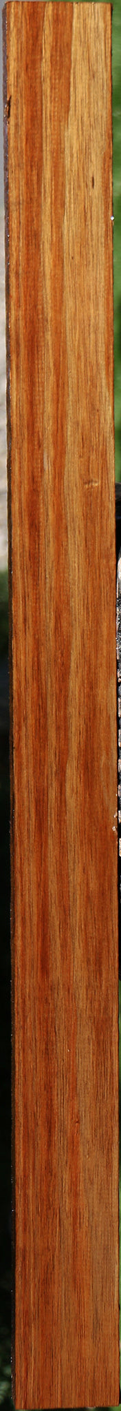 Tasmanian Blackwood Lumber