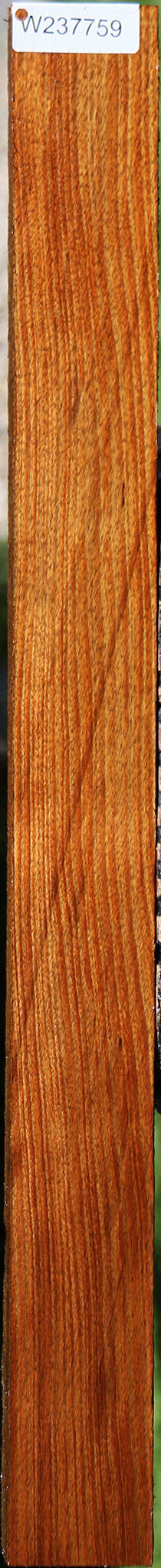 Tasmanian Blackwood Lumber