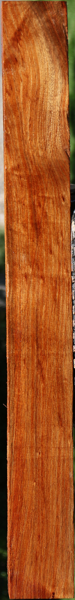 Figured Tasmanian Blackwood Lumber