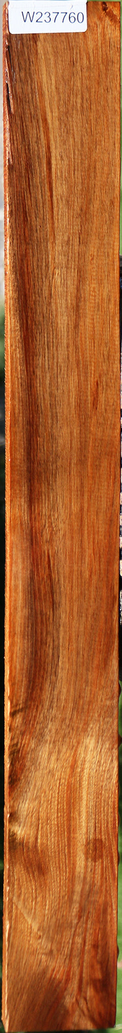 Figured Tasmanian Blackwood Lumber