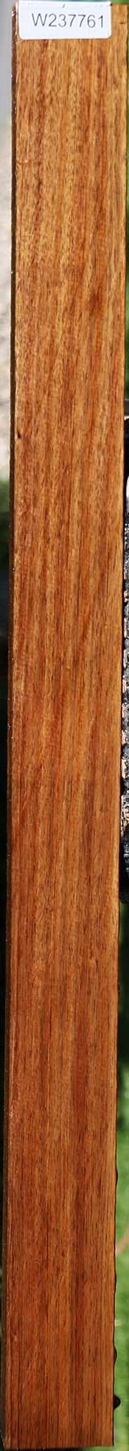 Tasmanian Blackwood Lumber