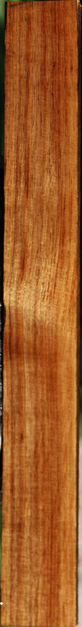 Figured Tasmanian Blackwood Lumber