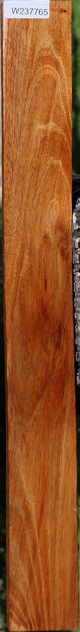 Tasmanian Blackwood Lumber