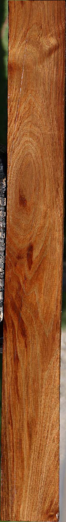 Tasmanian Blackwood Lumber