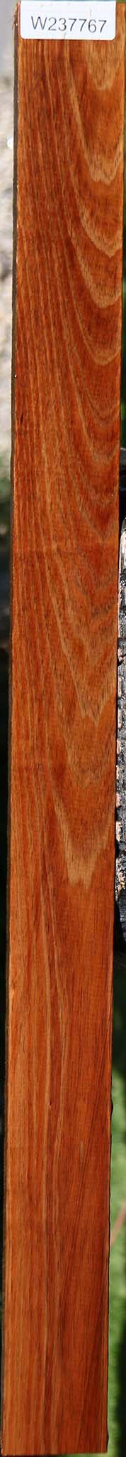 Tasmanian Blackwood Lumber
