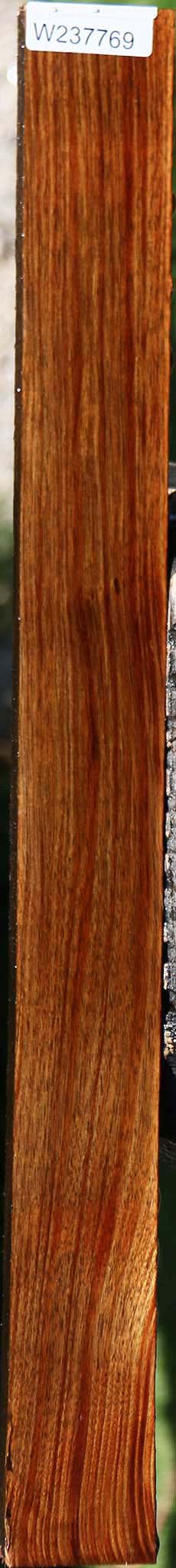 Tasmanian Blackwood Lumber