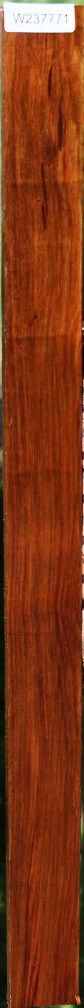 Tasmanian Blackwood Lumber