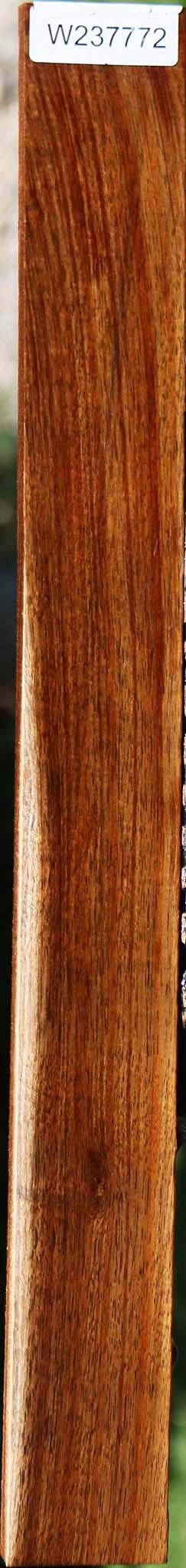 Extra Fancy Tasmanian Blackwood Lumber