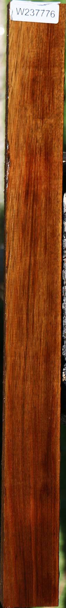 Tasmanian Blackwood Lumber