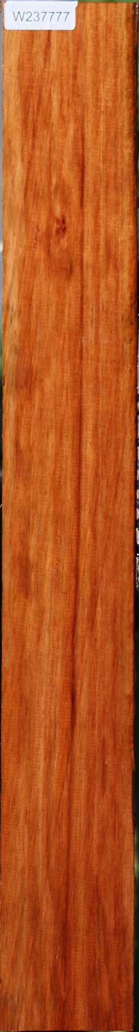 Tasmanian Blackwood Lumber